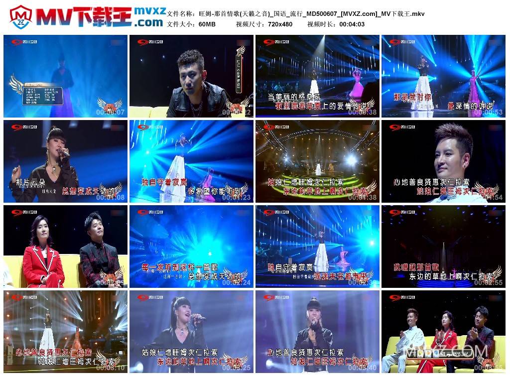旺姆-那首情歌(天籁之音)_国语_流行_MD500607